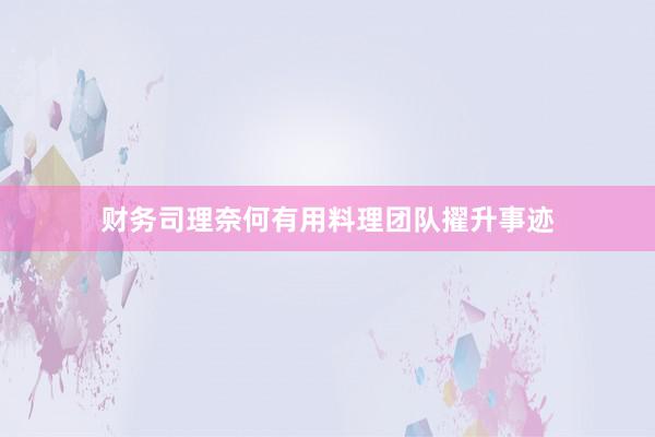 财务司理奈何有用料理团队擢升事迹